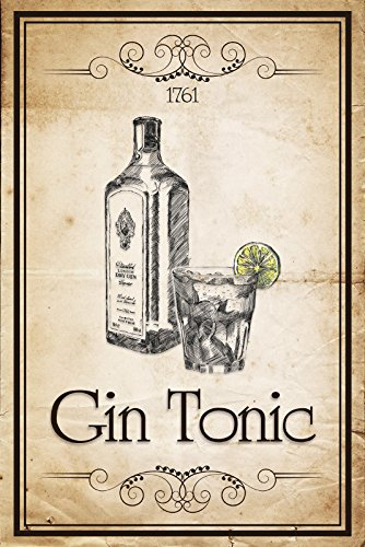 Deko 7 Blechschild Gin Tonic 1761 30 x 20 cm