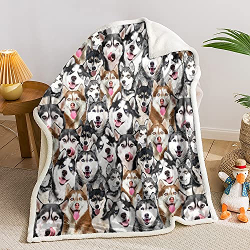 AILONEN Husky Hundedecke für Kinder und Erwachsene, Tiermuster, Geschenk, Liebhaber, doppelseitiger Sherpa-Überwurf, Flanell-Fleece (198,1 x 149,9 cm) Dog27