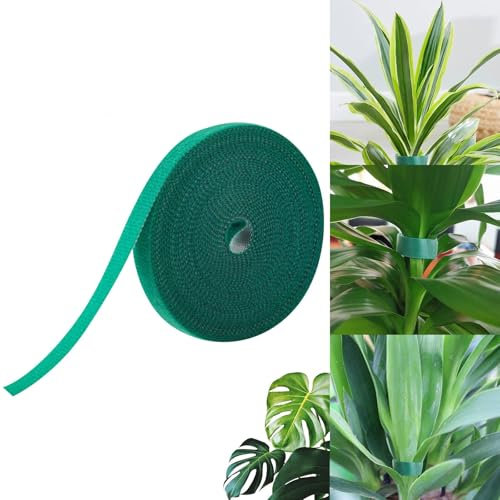 Miionwii 10m Plant Ties, 10mm Green Garden Plant Tape, Self Adhesive Ties Reusable and Adjustable, Plant Supports for Garden Climbing Plant Wrap Tape Cable Organiser