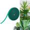 Miionwii 10m Plant Ties, 10mm Green Garden Plant Tape, Self Adhesive Ties Reusable and Adjustable, Plant Supports for Garden Climbing Plant Wrap Tape Cable Organiser