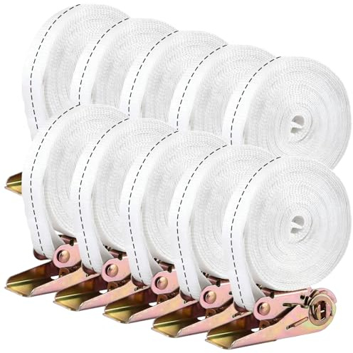 VIDETOL 10 Stück Spanngurte mit Ratsche, 6m 25mm Ratschengurte, Polyester Zurrgurt, Zugkraft 800kg, Ratschenspanngurt Weiß