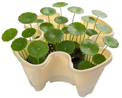 Glugahrif Stapelbarer Pflanzkasten, vertikal, rutschfest und abfließend, Blumenkasten für Topfpflanzen, für Terrasse, Garten, Balkon, Rasen, Haus, Wohnung, Deko