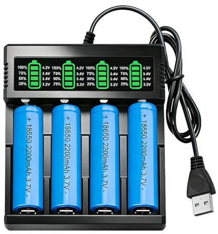 18650 Battery Charger, SGZIOO Rechargeable 3.7 V Battery with Charger, 2 Pieces 2200 mAh Rechargeable 18650 Batteries with Raised Positive Pole, Intelligent Battery Charger for Torch, Camera