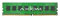 Axiom 4GB DDR4 4GB 2400MHz Modulo di memoria (4GB, 1x4GB, DDR4, 2400MHz, 288-pin DIMM, Verde)