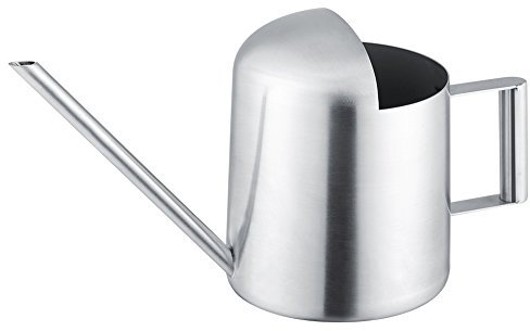 Pote de riego de boca larga de acero inoxidable, regadera de riego de 300/500 ml para flor de planta de jardín(300ml)