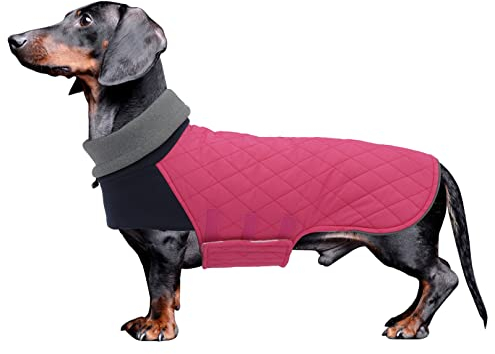 Geyecete Hundemantel Dackel, Dackel Wintermantel, Warmer Quilten Dackelmantel mit Geschirr Loch,Winddicht Rollkragen Hundejacken, Miniatur Dackel Weste für kleine Hunde-Rosa-L