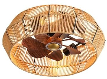 WDENI Caged Ceiling Fan with Light Flush Mount, 20 Inch Enclosed Rattan Ceiling Fans with Lights and Remote Control,Low Profile 6 Speeds for Bedroom, Living Room (black)