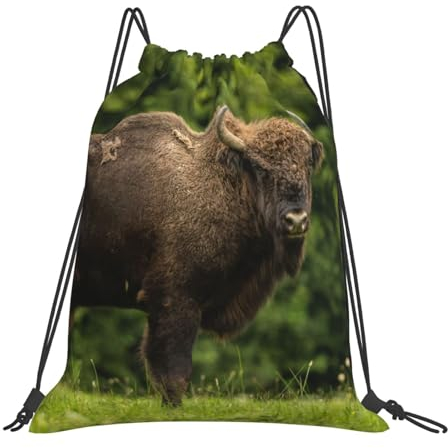 Zhimahou Turnbeutel mit Kordelzug, Polen, europäisches Bison, Wildtier-Sportrucksack, String, Schwimmen, Kordelzugbeutel für Damen und Herren, wasserdicht, Reisen, Strand, Schultasche, Rucksack mit