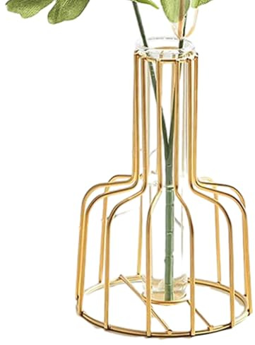 demaxiyad Vase mit Metallrahmen | Vase für Hydrokulturen mit kreativem Metallständer – Vase mit Rahmen für Zuhause, Wohnzimmer, Esstisch, Hochzeit