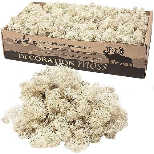 Karton Islandmoos Natur - 500g