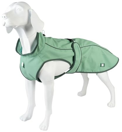 Max & Molly Regenmantel Hund wasserdicht, L, Jade, Sportliche Regenjacke für Hunde mit verstellbarem Bauchgurt, Reflektierend und Sicher, Regenjacke Hund mit Geschirröffnung