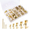 120 Pièces Crochet pour Cadre Photo, Kit de Crochets d'Image Crochet Mural Tableau en Acier Inoxydable avec Clous pour Fixation Cadres Photos Miroirs Œuvres D'art (5 Tailles, Or)