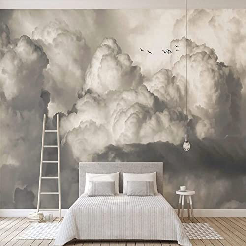 Papier Peint Panoramique Nuages Blanc Cassé Papier Peint Intissé 3D Tapisserie Poster Decoration Murale Chambre Salon