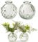12 x kleine Vasen aus Glas Vintage – Blumenvasen Tischvasen Glasvasen Dekoflaschen Glasflaschen Glasfläschchen Deko-Flaschen< Farbe Modell 5