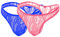 VemeFufu Sexy Pizzo Slip Uomo Intimo Perizoma C String G Boxer Tanga Uomini Hot Vita Bassa Elastici Thong Mankini Bikini Maschile Mutande Blu + Rosa Tagli Unica