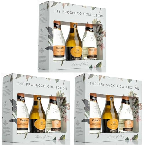 The Prosecco Collection Die Prosecco-Kollektion – eine Geschenkbox mit Canti, Valdo & Sant’Orsola – 3 x 20 cl Flaschen (Packung mit 3)