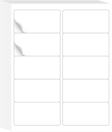 L LIKED 2 x 4 Label Stickers, Printable White 10 per Sheets Total 300 Labels, for Laser/Inkjet Printing - Matte (300 Labels)
