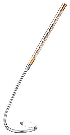 USB Light 10 LEDs Flexible LED Reading Lamp for Keyboard Reading Notebook Laptop PC (Champagne)