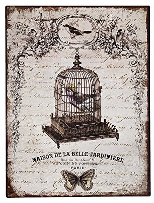 zeitzone Blechschild Vogelkäfig Paris Dekoschild Nostalgie Vintage 33x25cm