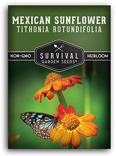 Mexican Sunflower Seeds for Planting – Tall Orange Tithonia Rotundifolia Pollinator Flower, Heirloom Non GMO Annual Flower Seed to Plant - Survival Garden Seeds (1 Pack)