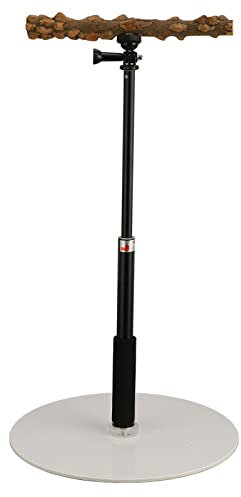 Ayayu Parrot Training Barch Stand, Abnehmbarer Outdoor Vogel Stehplatz mit 37 Zoll höhenverstellbarer Basis, Vogelspiel Reiseständer für Sittiche Conures Love Bird