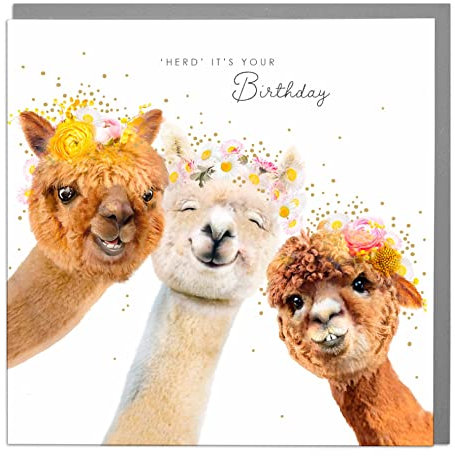 Lola Design – Geburtstagskarten für Frauen – Blanko-Karten und Umschläge – Heard its your birthday Alpaka – Happy Birthday Karte