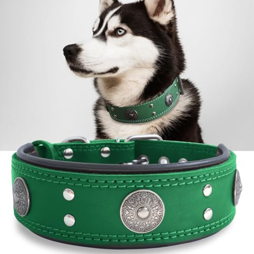 Hundehalsband Leder, 5 cm Breites Robustes Echtes Lederhalsband, Handgefertigt, Weich und Luxuriös, Auffällige Beste Wahl für Große und Mittelgroße Hunderassen, Grün S