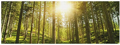 Wallario Duschmatte Antirutschmatte Badmatte Fußmatte Sonnenstrahlen im Nadelwald mit Moos und Farn, Größe ca. 180 x 65 cm