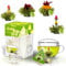 Creano Set regalo con fiori da tè e 8 fiori da tè in formato tazza - Tè Verde - regalo di Natale
