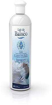 Camylle - Lait de Balnéo Luxe - Emulsion d'Huiles Essentielles pour Baignoire Balnéo, Bain à Bulles, Bain de pieds Thalasso - Energisant aux arômes frais et envoûtants - 250ml