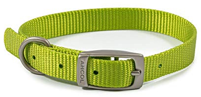 Ancol Viva Lightweight Buckle Collar Lime, Size 1 to fit 20-26 cm, Weather Proof