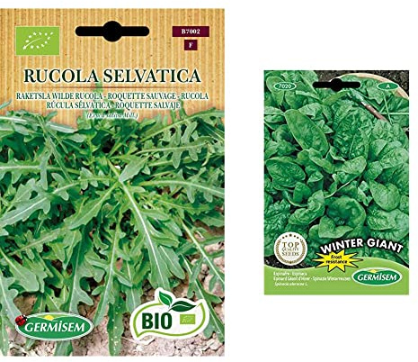 Germisem Rucola RUCOLA SELVATICA & Spinat WINTER GIANT