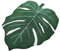 Badezimmer-Teppich mit Monstera-Blättern, Rutschfeste Badematte in Pflanzenblattform, Weicher Grüner Badezimmerteppich, Bodenteppich für Fußmatten, Dusche, Geburtstag, Party, Dekoration(60x90CM)