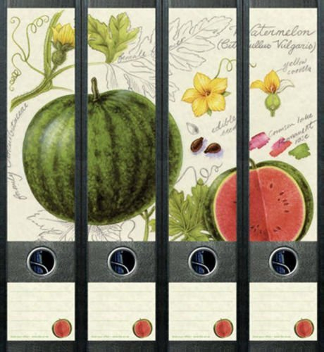 File Art AJ426 Design Etiketten Ordnerrückenschilder