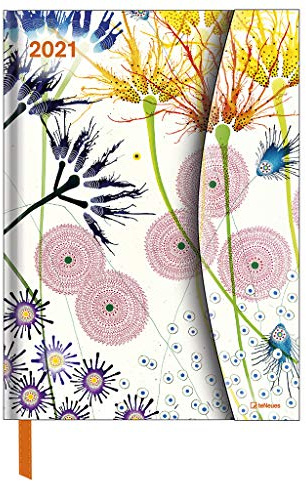 Dan Bennett 2021 - Diary - Buchkalender - Taschenkalender - 16x22: Magneto Diary