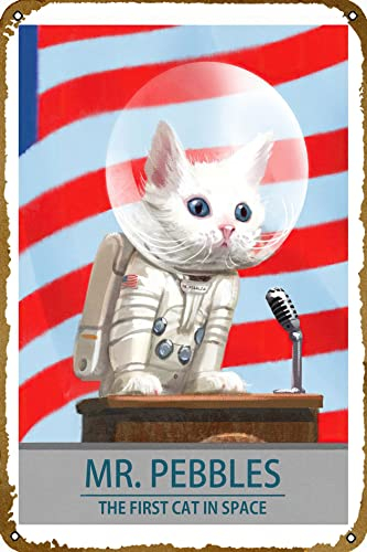 Mr Pebbles Poster Videospiel Metall-Blechschild Gaming Coole Wanddekoration Geschenke für Gamer 30,5 x 20,3 cm