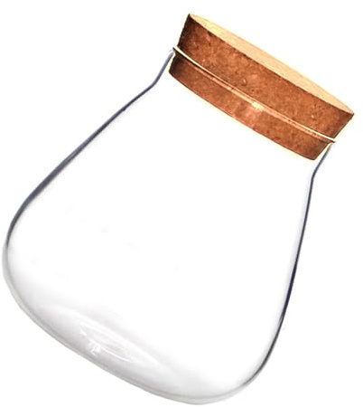 DEARMAMY Bouteille en Verre Transparent Marron Bouchon en Liège, Multifonctionnelle pour Micro Paysage et Rangement Facile D'objets Décoratifs sur Manteau