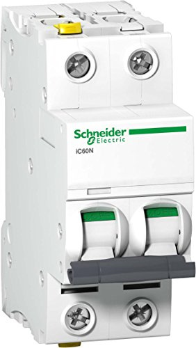 Schneider Electric A9F04225 - Interruttore di circuito iC60N, 2P, 25A, C caratteristiche, Multicolor