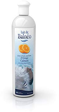 Camylle - Lait de Balnéo Orange - Emulsion d'Huiles Essentielles pour Baignoire Balnéo, Bain à Bulles, Bain de pieds Thalasso - Calmant aux arômes doux et fruités - 250ml