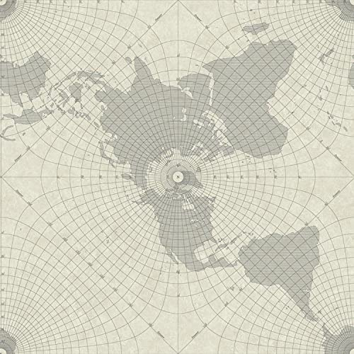 RoomMates RMK11076WP Gray Maritime Maps Peel and Stick Wallpaper