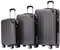 BEIBYE Zwillingsrollen Hardcase Reisekoffer Koffer Trolleys Hartschale in XL-L-M in 14 Farben (Businessgrau, Kofferset)