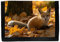 Giftoyo Animal Fox Geldbörse, mehrfarbig, Normal