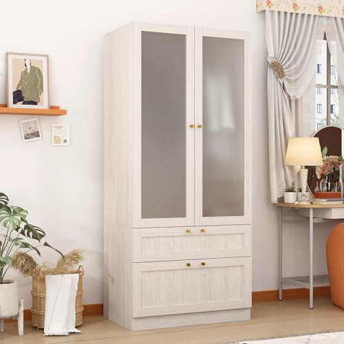 PREMTURE Armario con 2 puertas y 2 cajones, armario de cristal esmerilado, armario con barra y estantes para dormitorio, vestidor