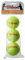 Wilson Kinder Starter Orange Tball Tennisbälle (12 Stück)