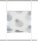 Home fashion UP & DOWN PLISSEE Rawlins, Polyester, Stein, 130 X 60 cm, 3