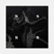 BTS [WINGS] 2nd Album [W+I+N+G] VER. 4 Ver SET 4CD+4ea Photo Book+4p Polaroid Card K-POP SEALED