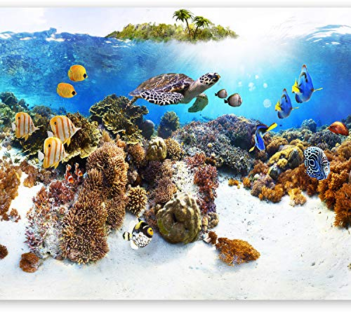 murando PREMIUM Fototapete Unterwasserwelt 250x175 cm Vlies Tapeten Wandtapete XXL Moderne Wanddeko Design Wand Dekoration Wohnzimmer Schlafzimmer Büro Flur Ozean Fisch Meer Natur