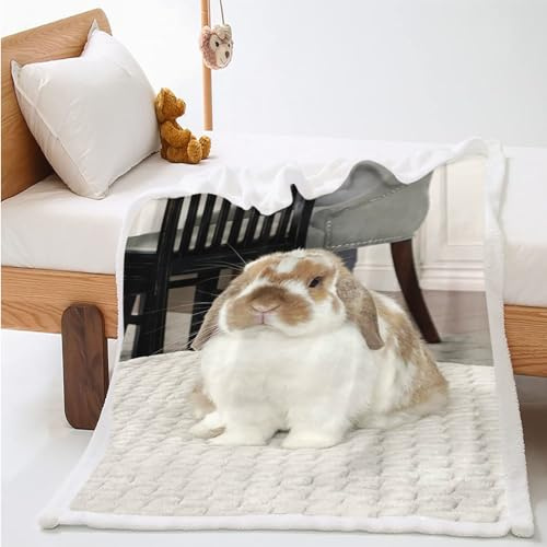 WEQEER kuscheldecke mit hase, Süßer Hase Druck Flauschige Fleecedecke Für Kinder, Märchen Tier Sofadecke Für Jungen Und Mädchen Kinde (1,150x200cm)