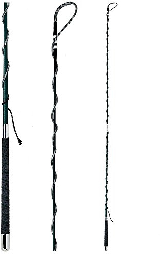 Fleck - Longierpeitsche - teilbar