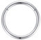 10g Hoop Nose Rings for Men and Women 10mm 10 Gauge Nose Ring Hoop Silver Septum Clicker Hinged Ring 316L Surgical Steel Body Piercing Earrings for Cartilage Helix Ear Lobe Daith Rook Conch Tragus